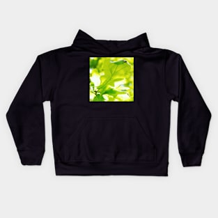 Oak Leaves in Sunlight Kids Hoodie